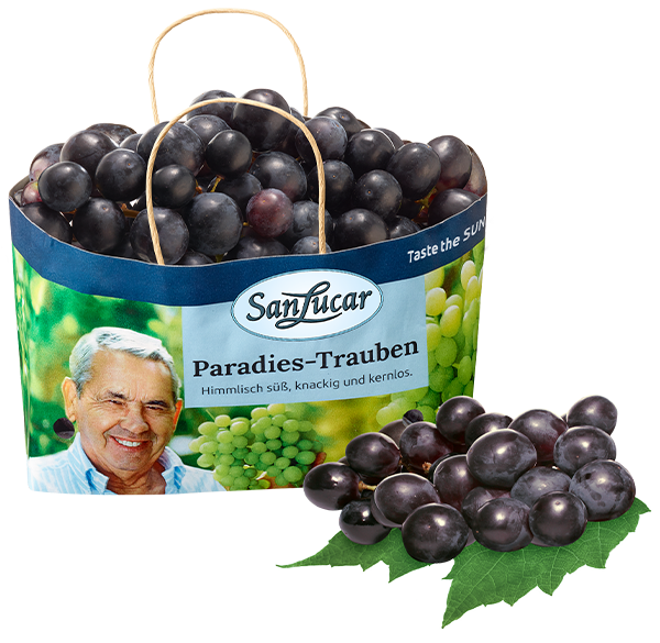 SanLucar seedless dark grapes in eco-friendly paper packaging, highlighting freshness and sustainability.