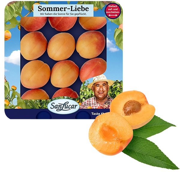 Juicy, ripe apricots with a vibrant orange color, highlighting their fresh and sweet flavor.