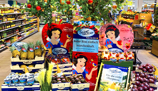 1Blog2_1 SanLucar team members harvesting fresh grapes, highlighting quality, dedication, and sustainable farming practices.