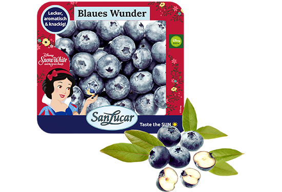 HZ_Arandanos_tarrina_carton_SnowWite_DE SanLucar Snow White blueberries in a sustainable cardboard punnet, highlighting freshness and eco-friendly packaging.