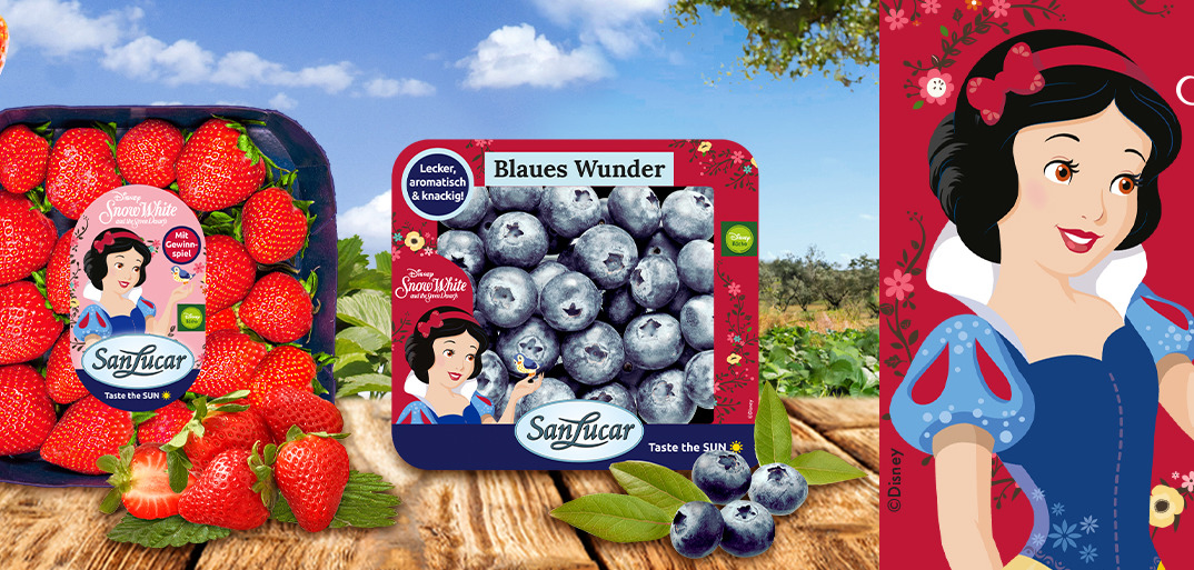 Header_SW24-NewWeb SanLucar Snow White blueberries, highlighting their premium quality, natural sweetness, and fresh appeal.