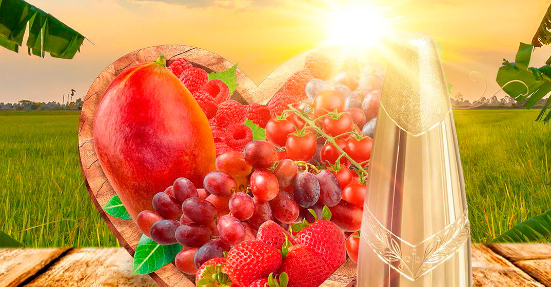 Headers-golden-zuckerhut-1555×560 SanLucar awarded the Golden Zuckerhut, recognizing excellence and innovation in the fresh produce industry.