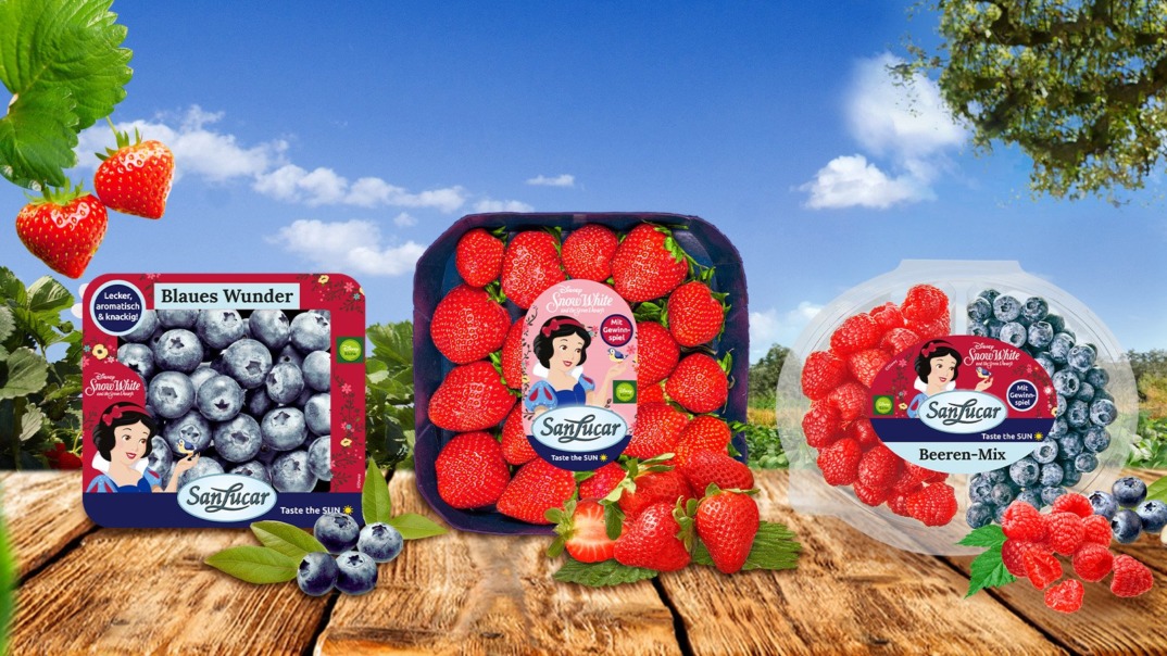 SnowWhite SanLucar Snow White blueberries, showcasing their premium quality, natural sweetness, and vibrant freshness.