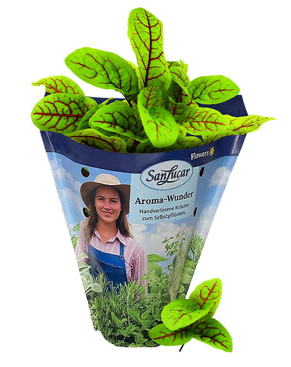 Papiertute_Krauter_Blutsauerampfer Fresh red sorrel in a sustainable paper bag – vibrant, tangy herb for salads and cooking
