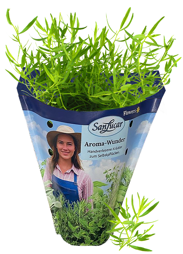 Papiertute_Krauter_Franzoisher_estragon Fresh estragon in a sustainable paper bag – aromatic herb ideal for seasoning and cooking