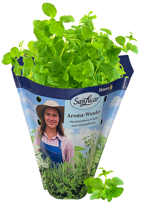 Papiertute_Krauter_Majoran Fresh lovage in a sustainable paper bag – aromatic herb perfect for soups and seasoning