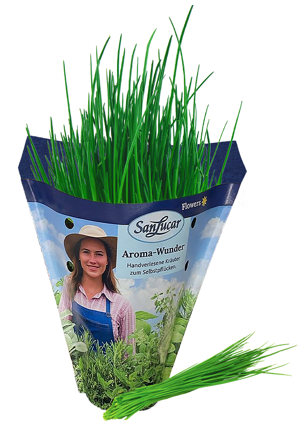 Papiertute_Krauter_Schnittlauch Fresh chives in a sustainable paper bag – aromatic herb perfect for garnishing and seasoning dishes