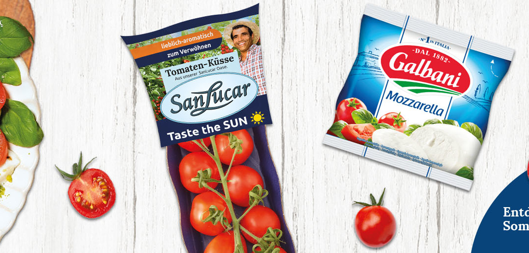 SanLucar Gablani farm, showcasing lush green fields and sustainable agriculture practices.