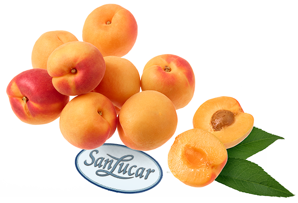 Fresh SanLucar apricots, whole and halved, showcasing their juicy, golden-orange flesh.
