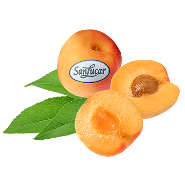 Fresh SanLucar apricots, whole and halved, showcasing their juicy, golden-orange flesh.