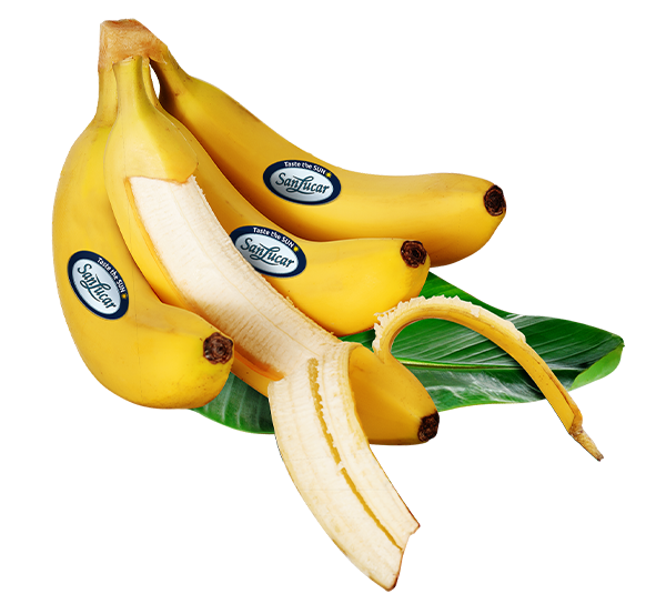 Fresh SanLucar bananas, ripe and naturally sweet, showcasing their vibrant yellow color.