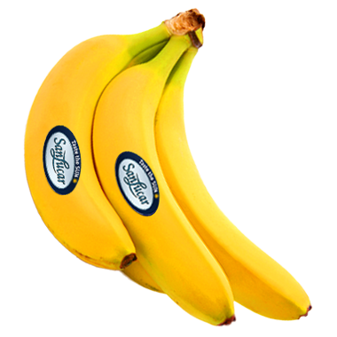 Fresh SanLucar bananas, ripe and full of flavor, highlighting their vibrant yellow color and natural sweetness.