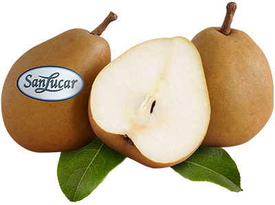 Fresh SanLucar pears, ripe and juicy, showcasing their sweet flavor and smooth texture.