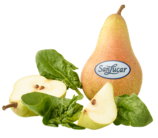 Fresh SanLucar Abate pears, elongated and golden, showcasing their sweet and juicy flavor.