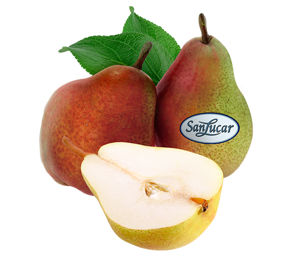 Fresh SanLucar Celina pears, vibrant red and juicy, showcasing their sweet and refreshing flavor.
