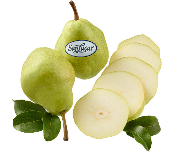 Fresh SanLucar Santa Maria pears, green and juicy, showcasing their sweet and refreshing flavor.