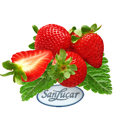Fresh SanLucar strawberries with vibrant red color, accompanied by green leaves and a sliced berry showcasing its juicy interior.