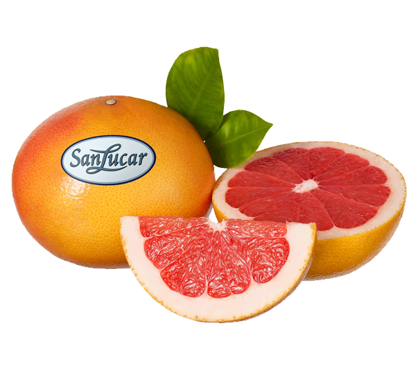 SanLucar grapefruit with logo, showcasing fresh, juicy citrus fruit and its characteristics.