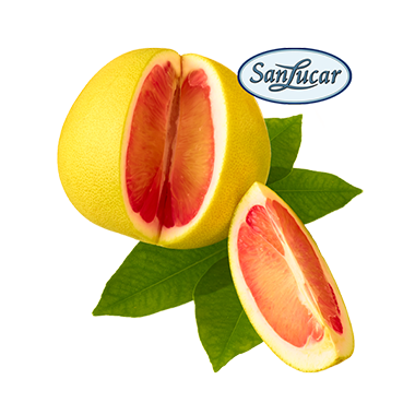 Grapefruit_Fruchtkunde_logo
