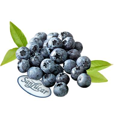 Fresh blueberries with a deep blue color, isolated on a white background – sweet, juicy, and rich in antioxidants.