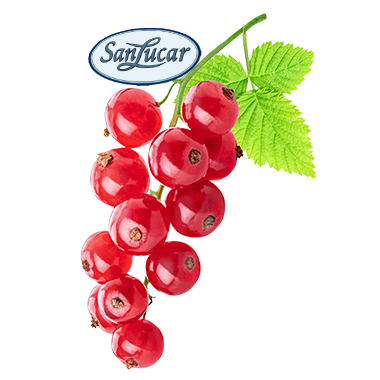 Fresh red currants with glossy berries and green stems, isolated on a white background – tart, juicy, and rich in vitamin C.