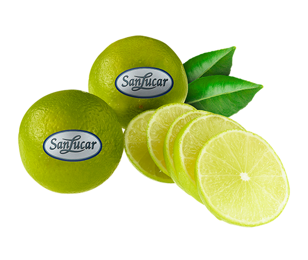 Lime loose logo – a branding icon representing fresh, high-quality limes.