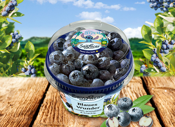 SanLucar Nature Bowl filled with fresh fruit, highlighting quality, variety, and sustainable packaging.