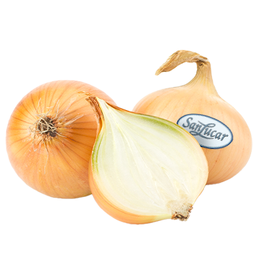 SanLucar loose onion with logo – fresh, high-quality onion with SanLucar branding