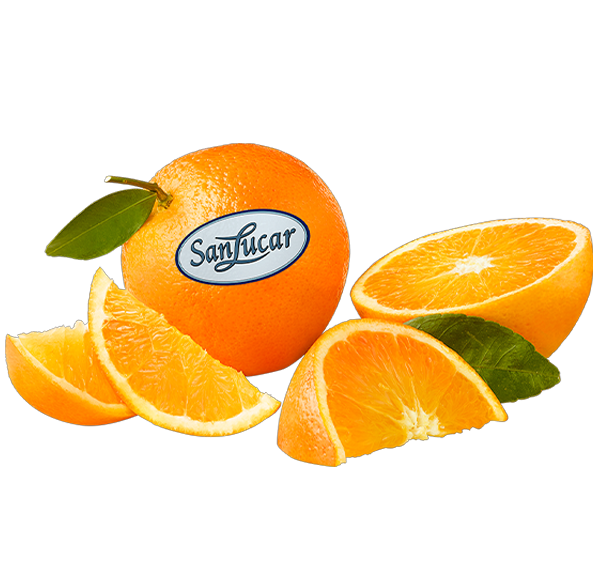 Fresh whole orange with a textured peel, isolated on a white background – ripe and juicy citrus fruit.