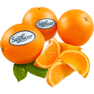 Orange loose logo – a branding icon representing fresh, high-quality oranges