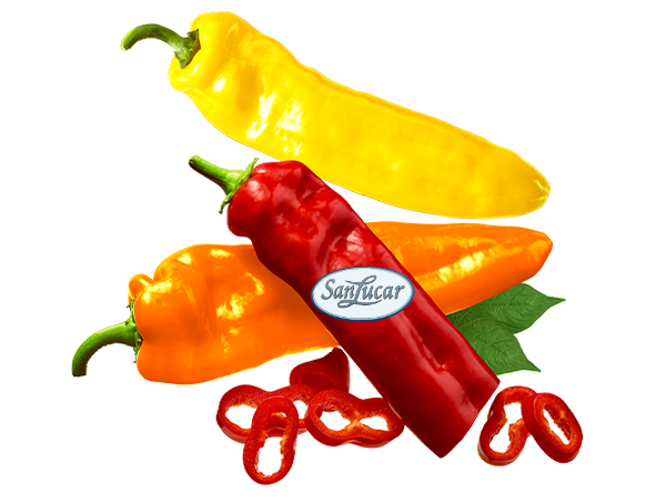 Fresh SanLucar bell peppers, vibrant and crisp, showcasing their rich color and sweet flavor.