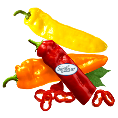 Fresh SanLucar bell peppers, crisp and vibrant, showcasing their rich color and sweet flavor.