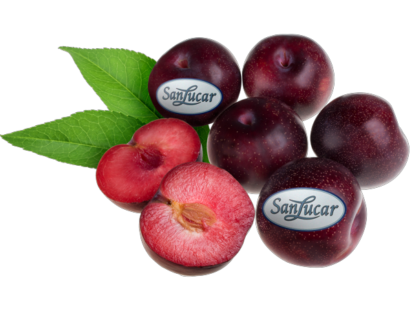 Fresh SanLucar plums, whole and halved, showcasing their juicy, deep-colored flesh.