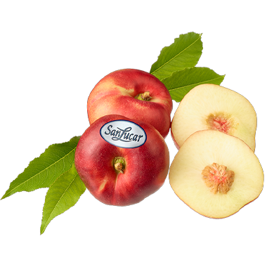 Platerina_lose_logo SanLucar Sommer Liebe Paraguayo peaches, juicy and sweet, packed for a delightful summer treat.