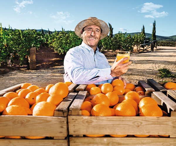 Qualitatskontrolle1vr SanLucar quality control expert inspecting fresh produce to ensure high standards and sustainability.