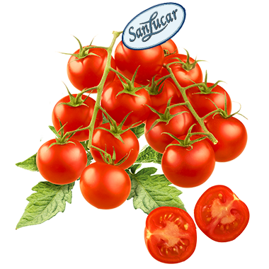 Rubin tomato logo – a branding icon representing fresh, high-quality Rubin tomatoes