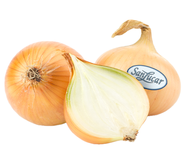 Onion loose logo – a branding icon representing fresh, high-quality onions.