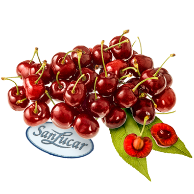 Fresh SanLucar cherries, plump and juicy, with a vibrant red color and glossy skin.