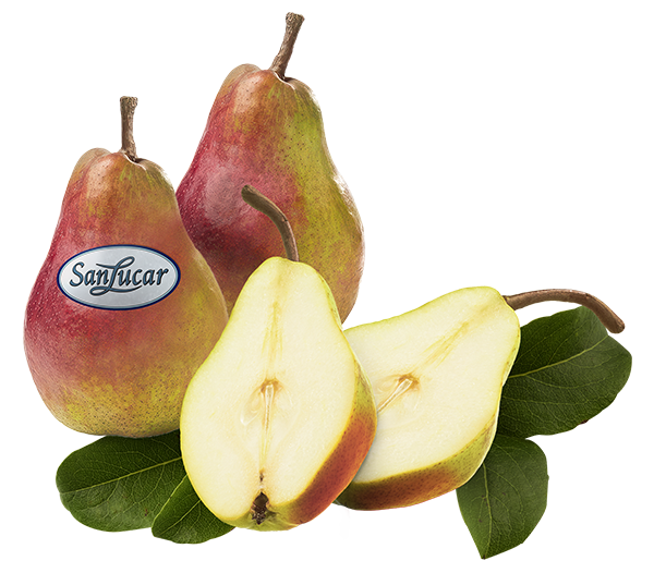 Fresh SanLucar William Red pears, vibrant red and juicy, showcasing their sweet and aromatic flavor.