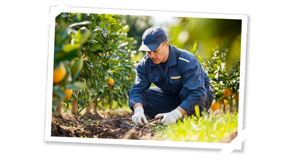 SanLucar acequia system – promoting sustainable water management and efficient agricultural irrigation.