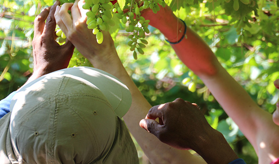 SanLucar social initiative event, highlighting community support and corporate social responsibility.