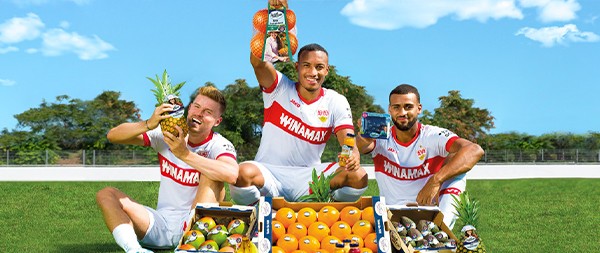 SanLucar fresh grapes – sweet, juicy, and sun-ripened for the best flavor.