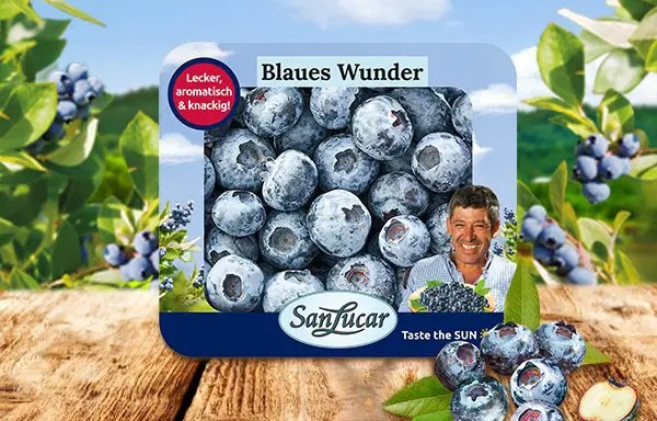 Verpackung SanLucar sustainable packaging, designed to protect fresh produce while reducing environmental impact.