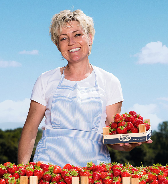 Strawberry farmer harvesting fresh, ripe strawberries in the field – promoting sustainable agriculture and natural produce.