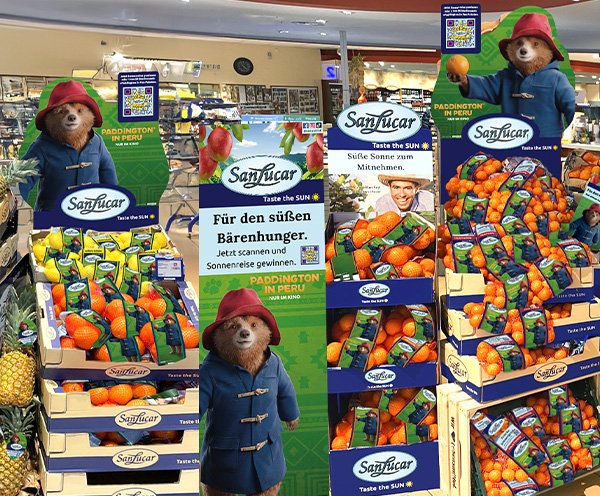 Blog post image featuring Paddington branding with modern design and vibrant premium produce details.