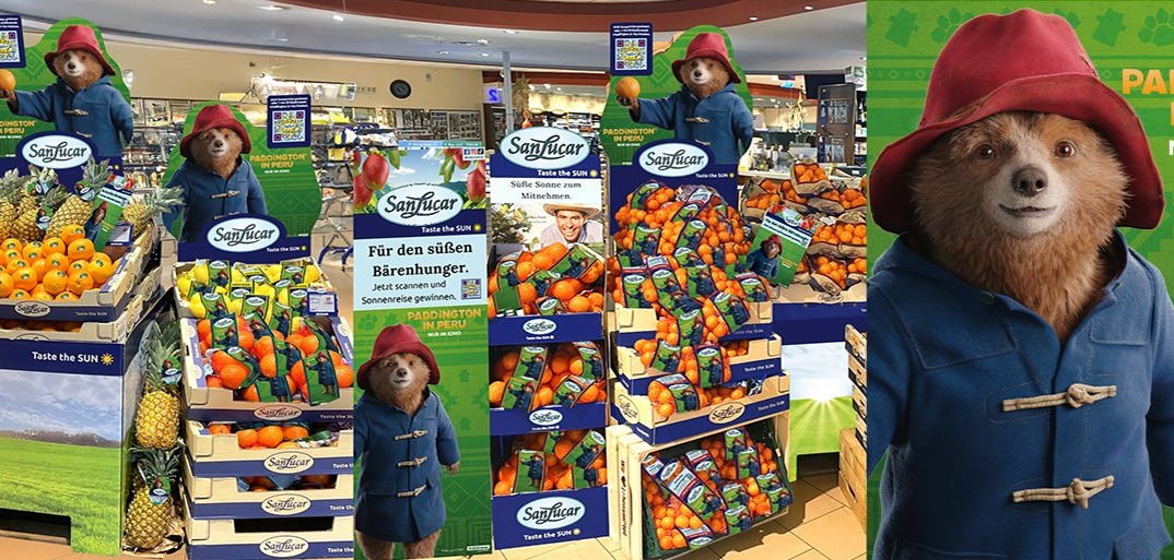 Header image featuring Paddington branding with sleek design and vibrant premium produce imagery.