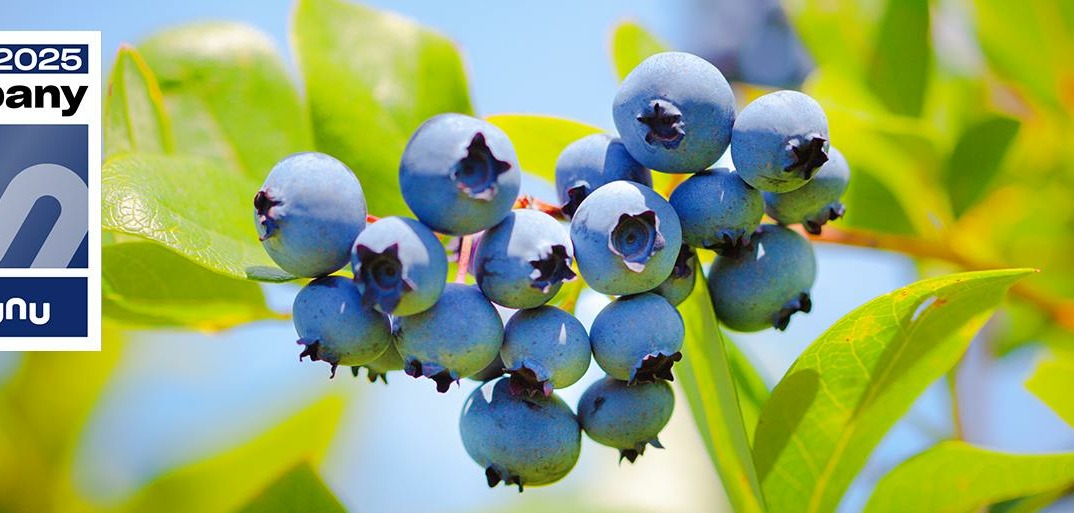 SanLucar recognized as a *Kununu Top Company*, highlighting excellence in workplace culture and employee satisfaction.