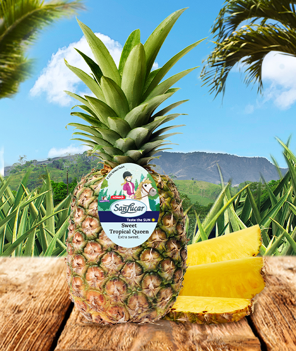 BlogP-Schleich SanLucar fruit display, Schleich Horses Club, fresh fruit promotion, buy fresh pineapple, premium strawberries, best kiwis, exotic fruit shopping, sustainable farming, healthy snacks for kids, fun shopping experience.