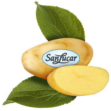 A whole and halved potato with green leaves placed below the SanLucar logo, featuring a clean and natural background.